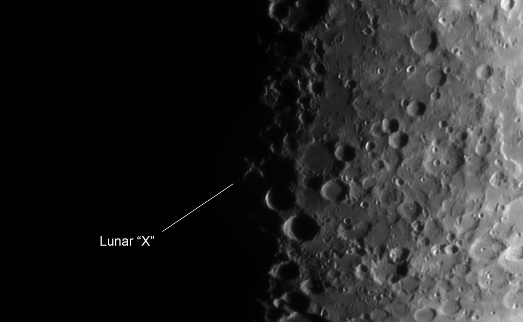 Lunar X Label