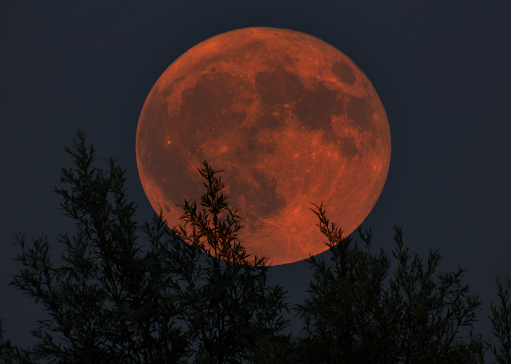 Blood Moon Rising