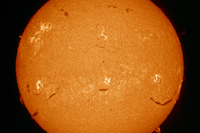 Sun FD H-alpha 24 mar 2026