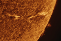 Prom and Filament