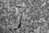 The "J" Filament AR 4188 - 22 Aug 2025