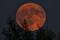 Blood Moon Rising