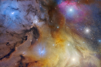 The Magnificent Rho Ophiuchi Complex