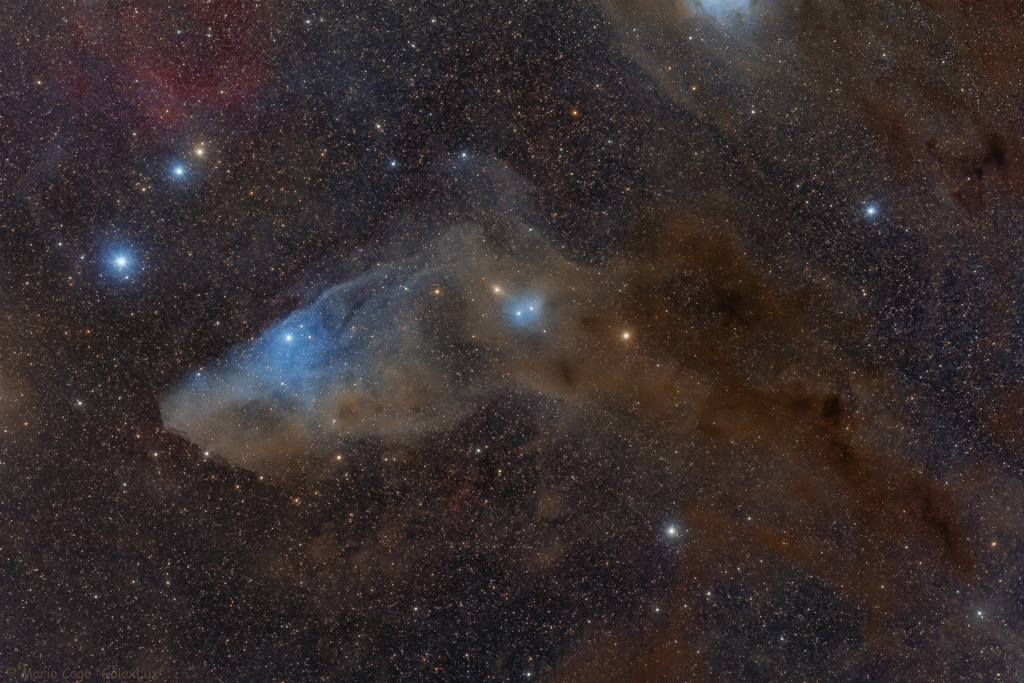 Blue Horsehead Nebula