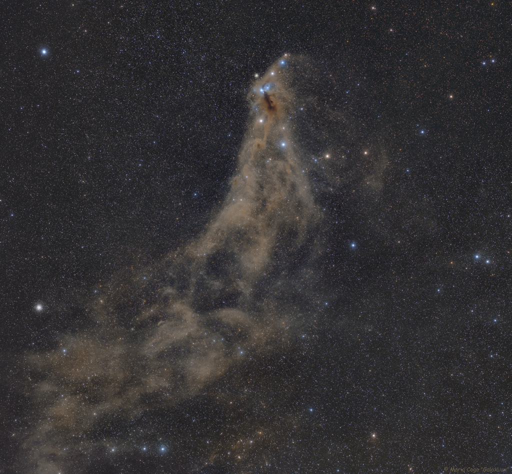 Stardust in Corona Australis